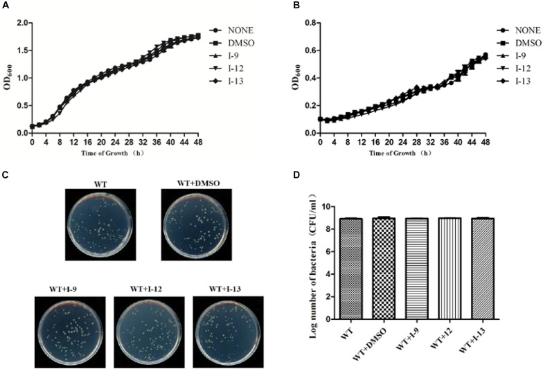 FIGURE 3