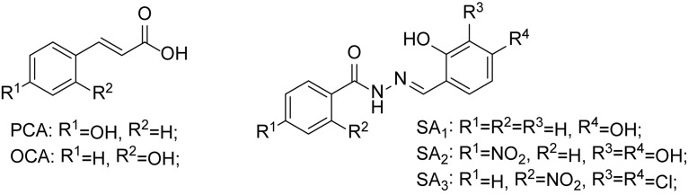 FIGURE 1