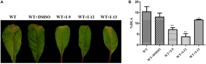 FIGURE 11