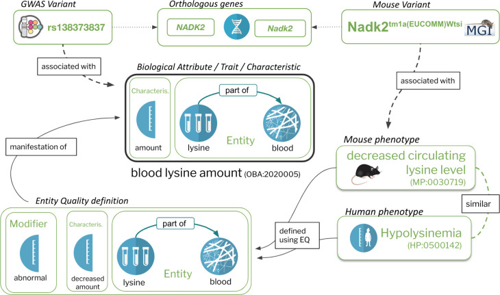 Figure 1: