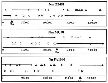 FIG. 6.