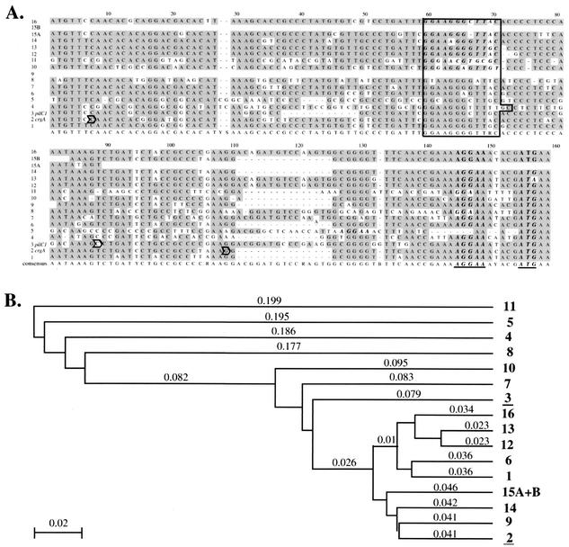 FIG. 1.