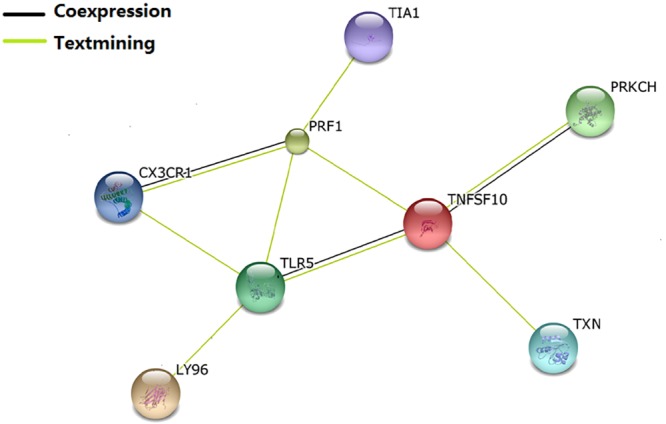 Fig 3