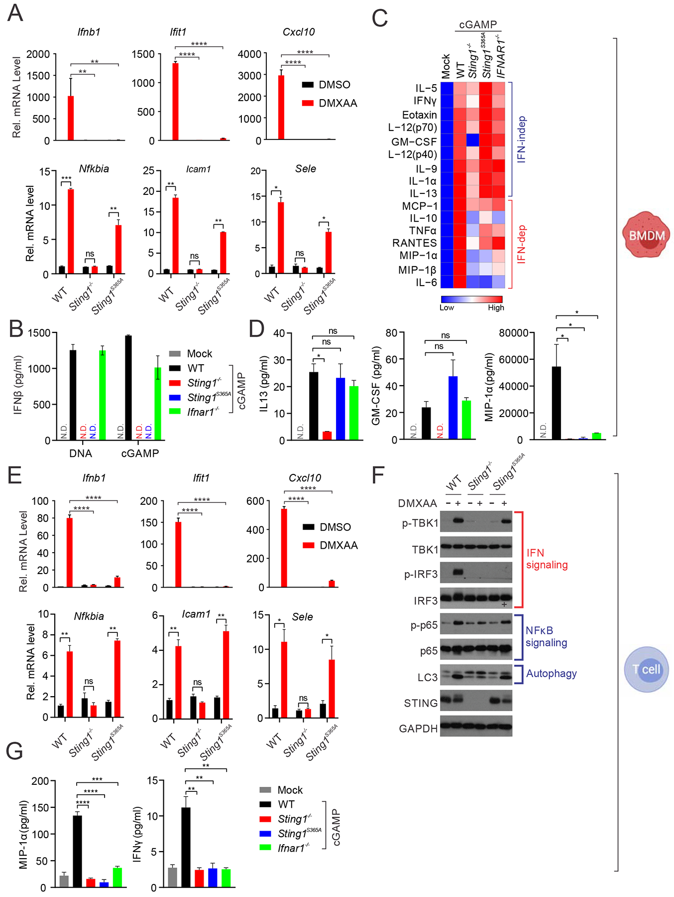 Figure 1: