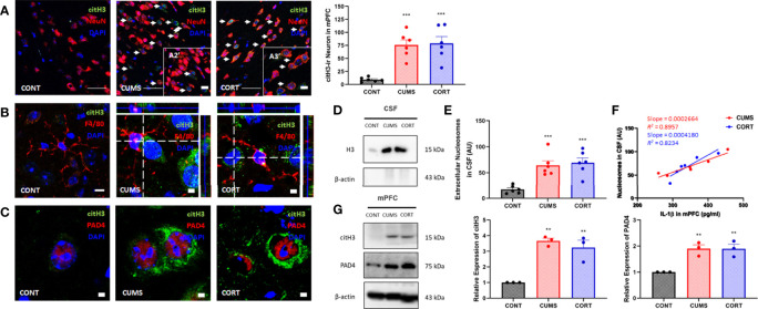 Figure 3