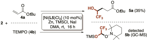 Scheme 3