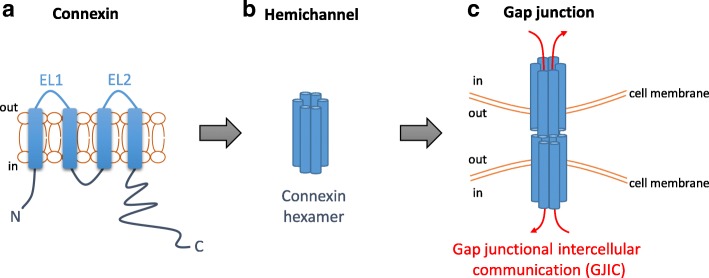 Fig. 1