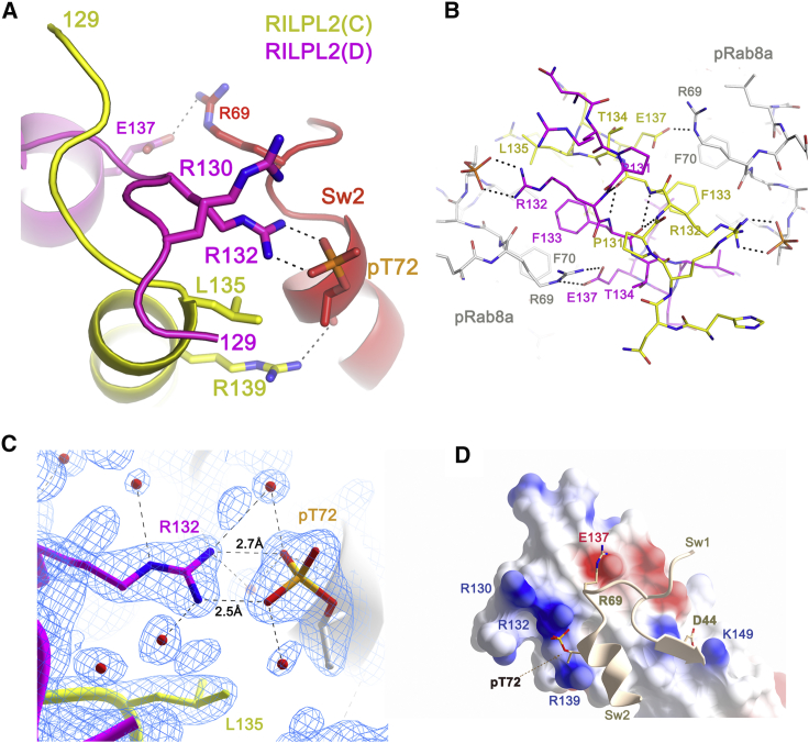 Figure 2