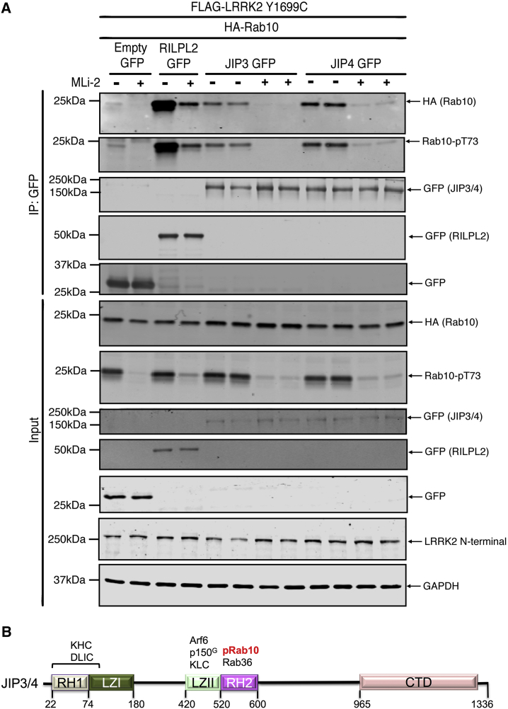 Figure 6