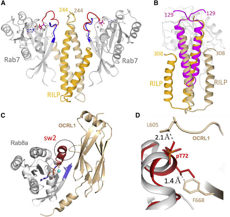 Figure 7