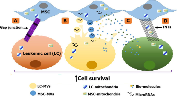 graphic file with name 12964_2022_822_Figa_HTML.jpg