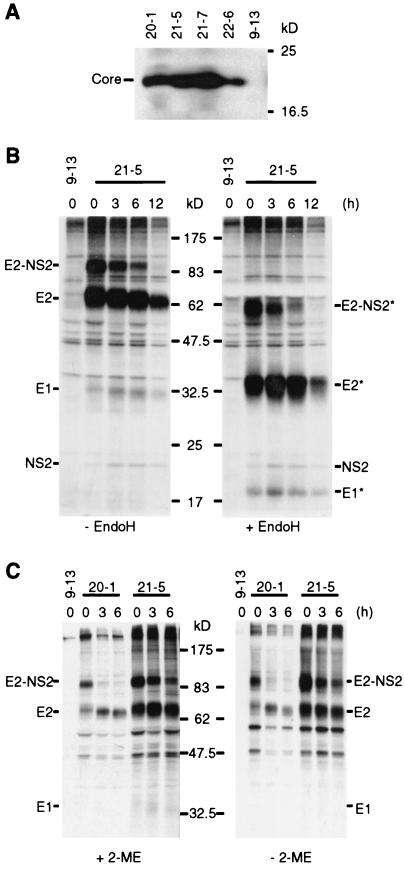 FIG. 3.