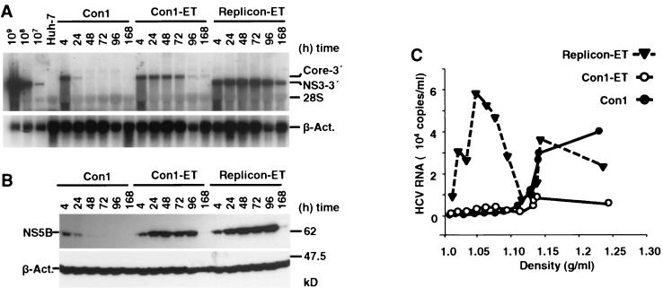 FIG. 8.