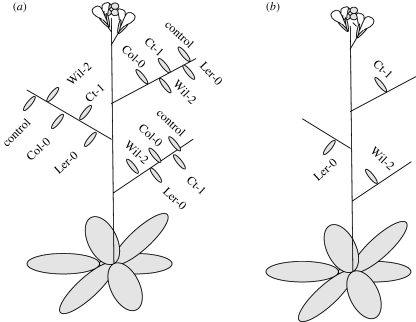 Figure 1.