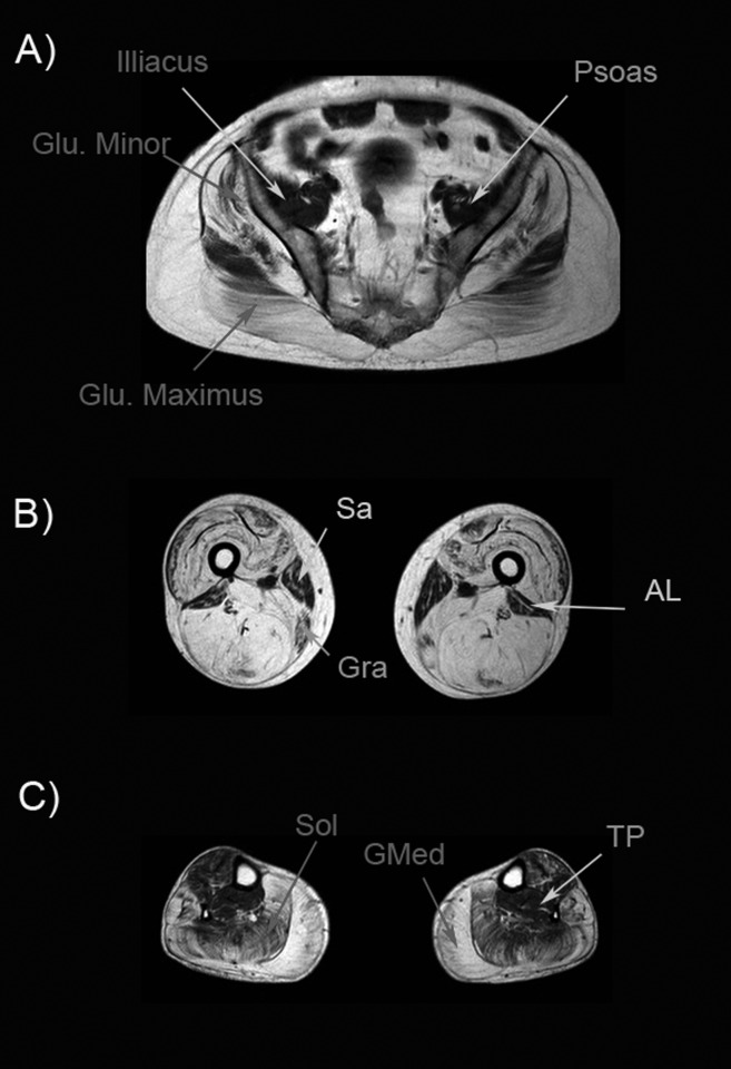 Figure 2.