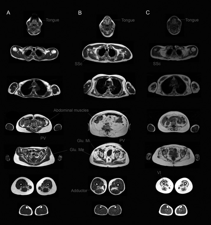 Figure 10.