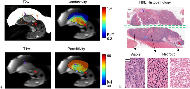 FIG. 7