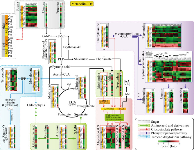 Figure 6