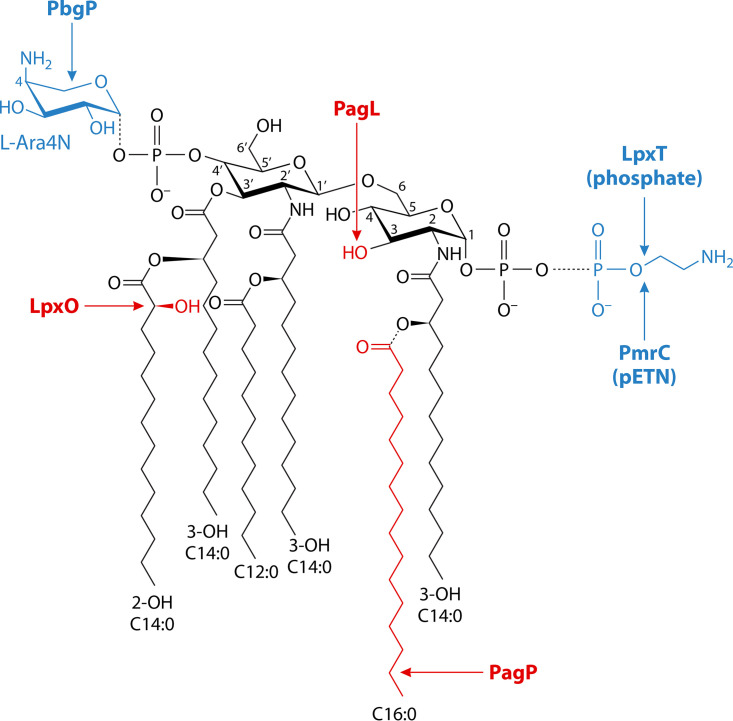 FIG 7