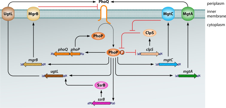 FIG 4