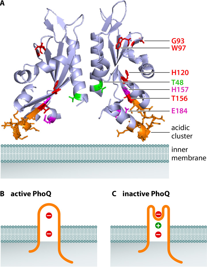 FIG 2