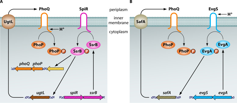 FIG 3