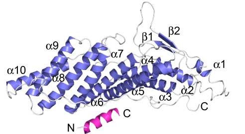 Fig. 2.