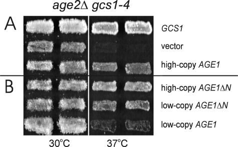 FIGURE 1.