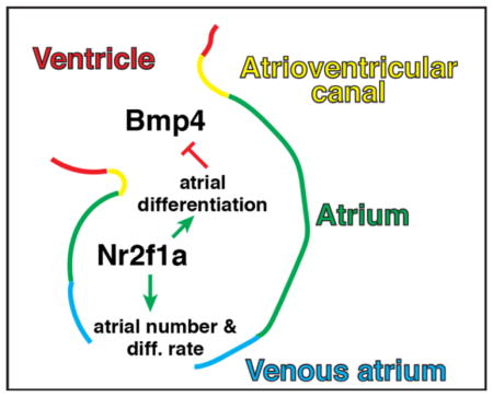 graphic file with name nihms925678u1.jpg