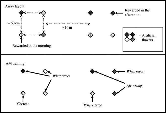 In the upper panel is a schematic showing an array of eight artificial flowers, arranged in two squares.