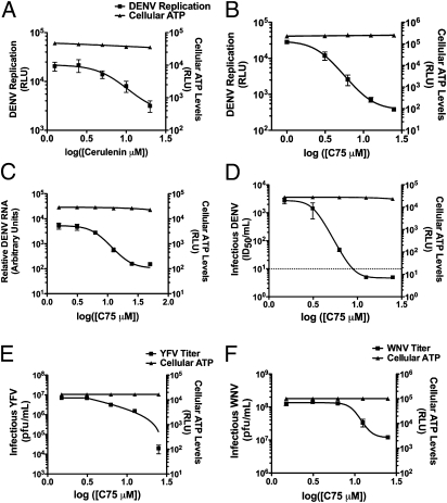 Fig 1.