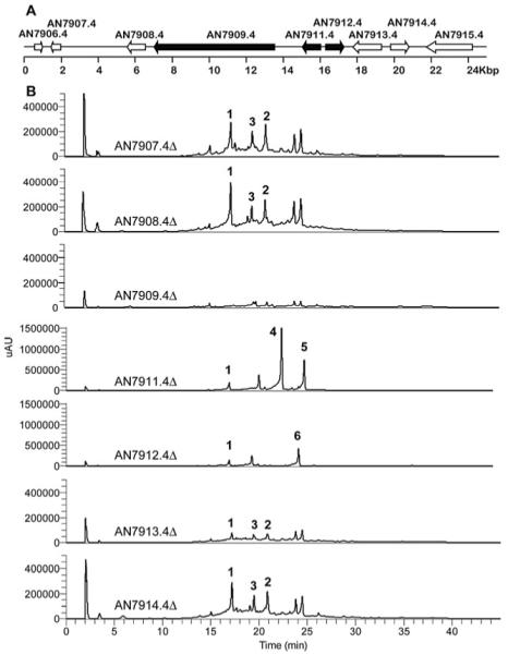 Fig. 3