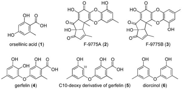 Fig. 1