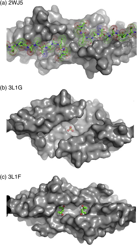 Fig. 8