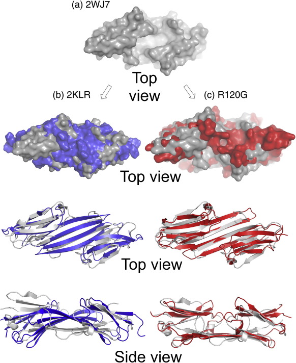 Fig. 7