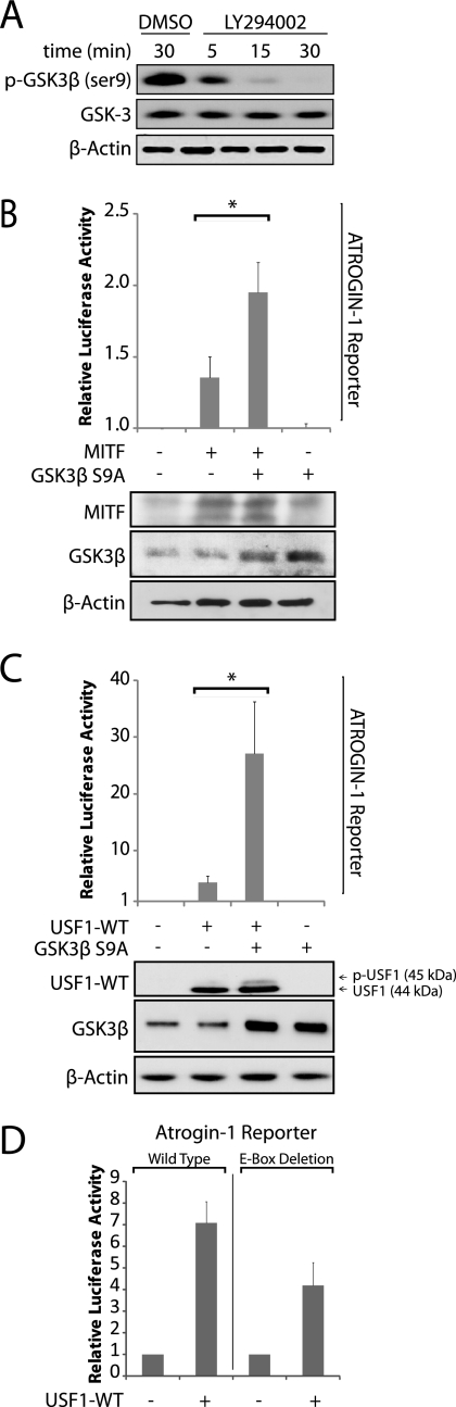 FIGURE 7.