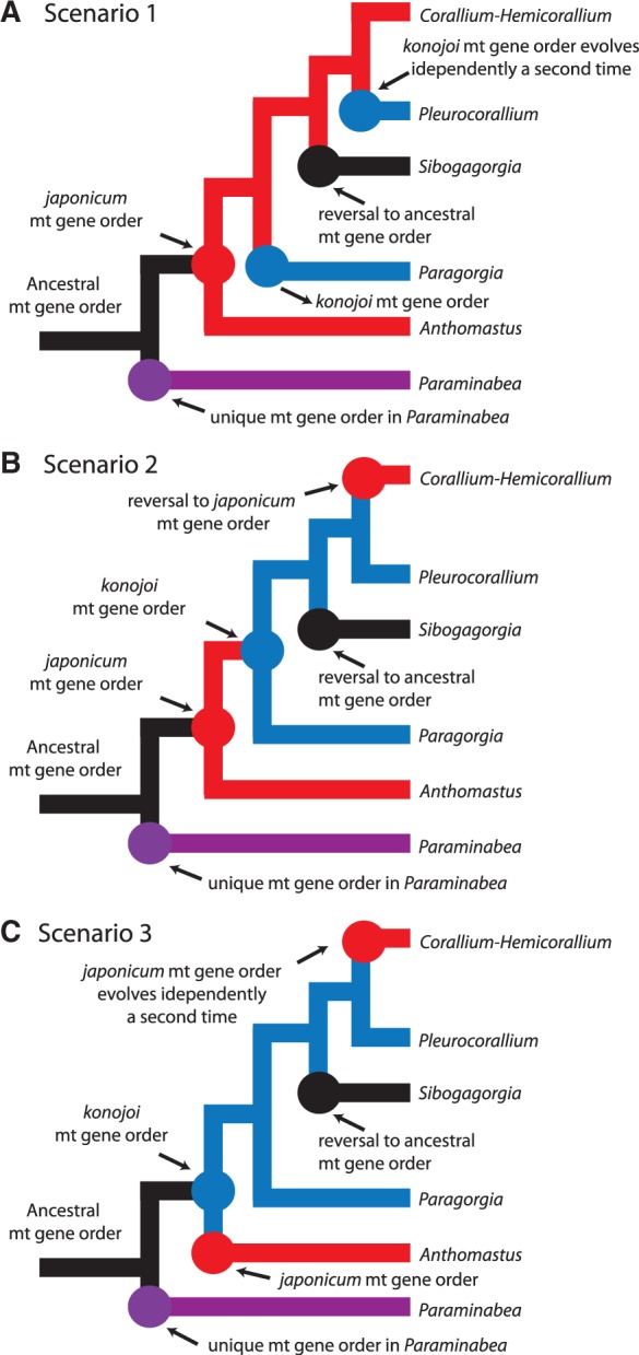 Fig. 8.—