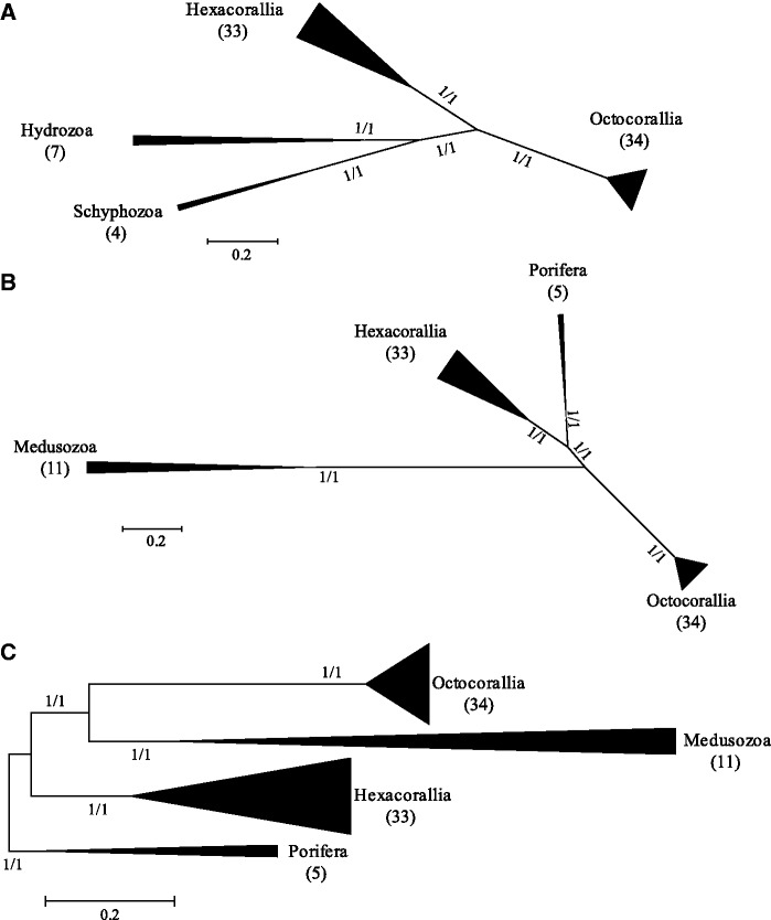 Fig. 6.—