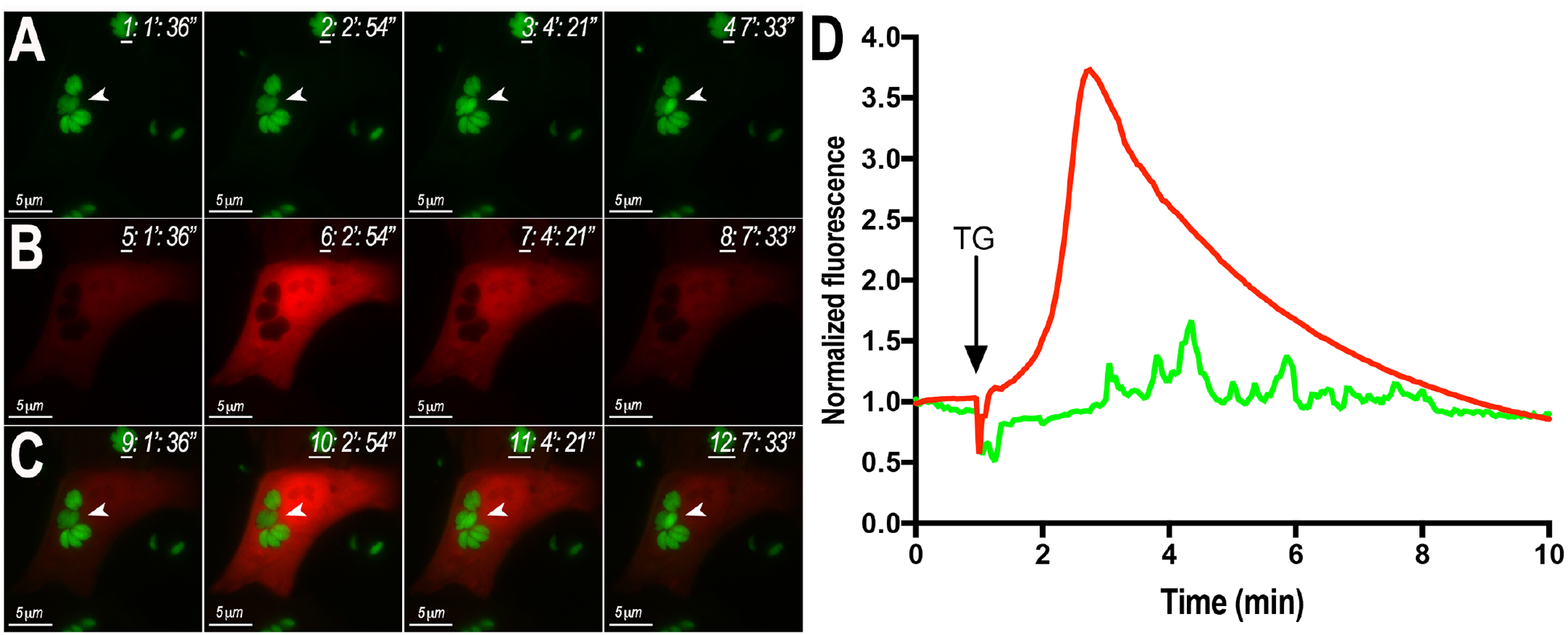 Figure 4.