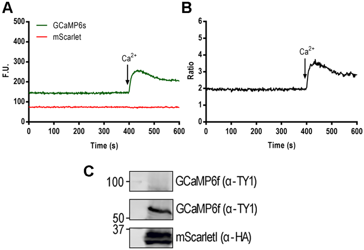 Figure 3: