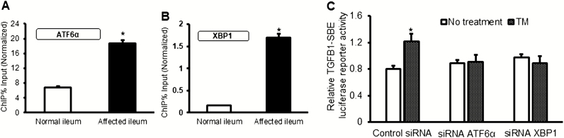 FIGURE 4.