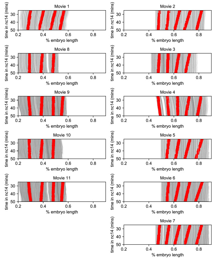 Figure 7—figure supplement 1.