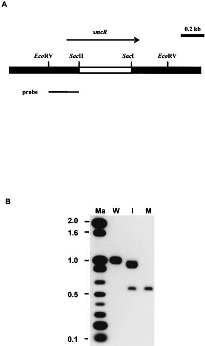 FIG. 5