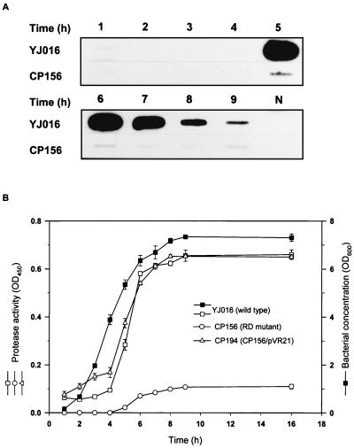 FIG. 6