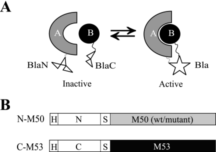 FIG. 1.