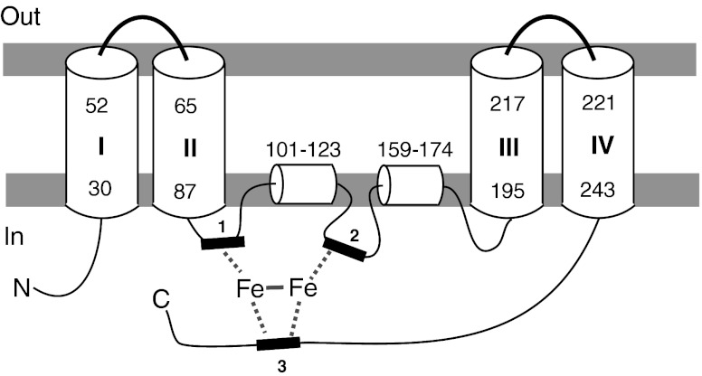 Fig. 4