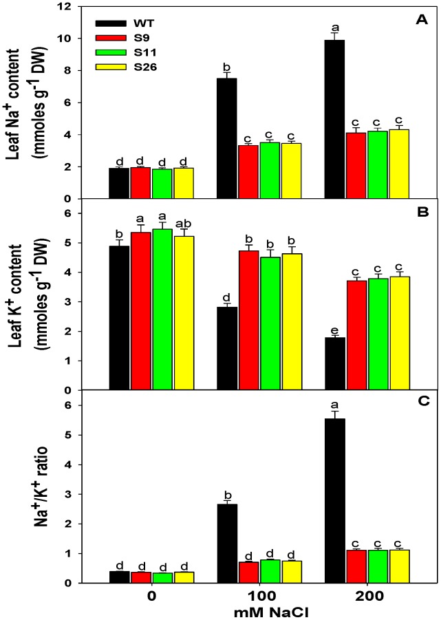 Figure 4