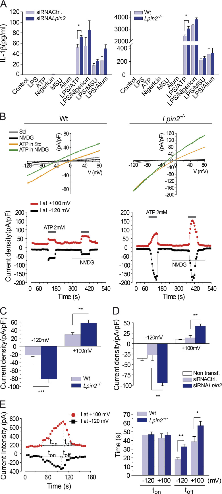 Figure 5.