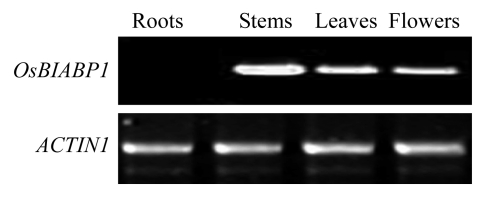 Fig.3