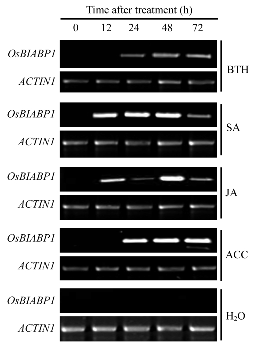 Fig.4